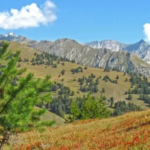 Explore Tusheti off-road journey for 6 days with Exotour Georgia and discover unforgettable experiences - Photo 11