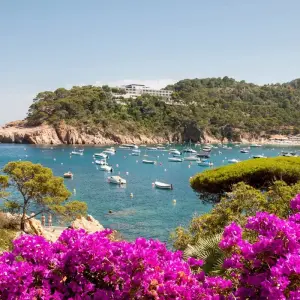 Explore Contrasts of Catalonia (Catalunya) Cycling for 7 days with Exodus Adventure Travels and discover unforgettable experiences - Photo 2