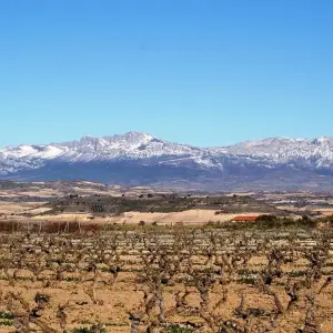 Explore Vineyards of La Rioja Cycling for 8 days with Exodus Adventure Travels and discover unforgettable experiences - Photo 3