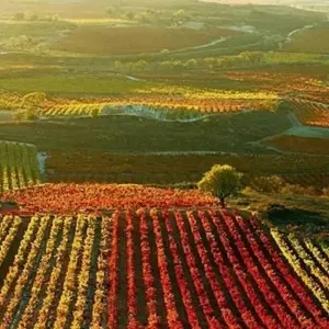 Explore Vineyards of La Rioja Cycling for 8 days with Exodus Adventure Travels and discover unforgettable experiences - Photo 4