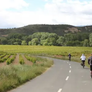 Explore Vineyards of La Rioja Cycling for 8 days with Exodus Adventure Travels and discover unforgettable experiences - Photo 8