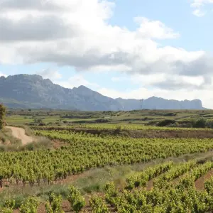 Explore Vineyards of La Rioja Cycling for 8 days with Exodus Adventure Travels and discover unforgettable experiences - Photo 9