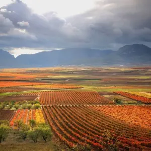 Explore Vineyards of La Rioja Cycling for 8 days with Exodus Adventure Travels and discover unforgettable experiences - Photo 10