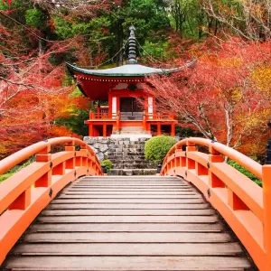 Explore Walk the Kumano Kodo for 11 days with Exodus Adventure Travels and discover unforgettable experiences - Photo 3