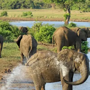 Explore Southern Africa Safari: Kruger & Coast for 11 days with Exodus Adventure Travels and discover unforgettable experiences - Photo 3