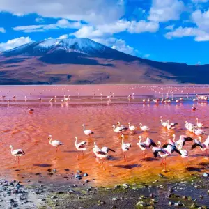 Explore Cycle Chile &amp; Argentina: Atacama to Salta for 13 days with Exodus Adventure Travels and discover unforgettable experiences - Photo 3