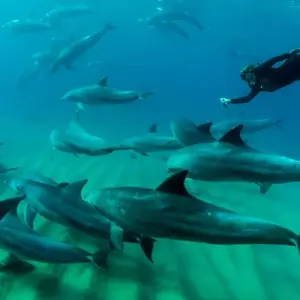 Explore Southern Africa Safari: Kruger & Coast for 11 days with Exodus Adventure Travels and discover unforgettable experiences - Photo 9