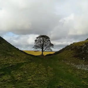 Explore Walking The Best of Hadrian's Wall for 6 days with Exodus Adventure Travels and discover unforgettable experiences - Photo 4