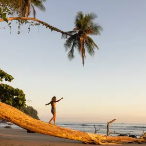 Explore Discover Costa Rica - with Dominical (including San José) for 15 days with Exodus Adventure Travels and discover unforgettable experiences - Photo 8