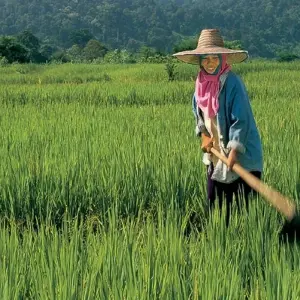 Explore Vietnam Family Adventure for 14 days with Exodus Adventure Travels and discover unforgettable experiences - Photo 3