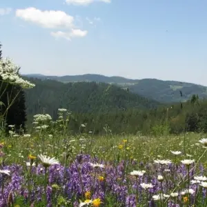 Explore Bulgaria: Rodopi Mountains for 8 days with Exodus Adventure Travels and discover unforgettable experiences - Photo 2