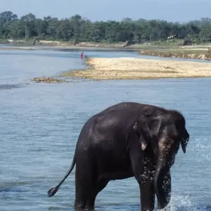 Explore Highlights of Northern India & Nepal for 15 days with Exodus Adventure Travels and discover unforgettable experiences - Photo 7