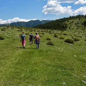 Explore Bulgaria: Rodopi Mountains for 8 days with Exodus Adventure Travels and discover unforgettable experiences - Photo 6