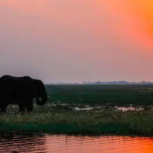 Explore Victoria Falls to Cape Town - Camping for 20 days with Exodus Adventure Travels and discover unforgettable experiences - Photo 4