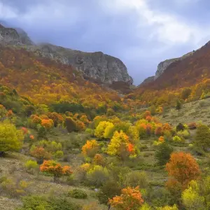 Explore Italian Apennines: Walks &amp; Wildlife for 6 days with Exodus Adventure Travels and discover unforgettable experiences - Photo 2