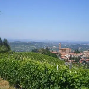 Explore Gastronomic Barolo Walk for 9 days with Exodus Adventure Travels and discover unforgettable experiences - Photo 4