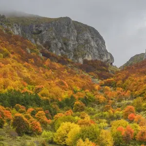 Explore Italian Apennines: Walks &amp; Wildlife for 6 days with Exodus Adventure Travels and discover unforgettable experiences - Photo 3
