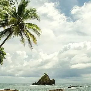 Explore Costa Rica's Coastal Secrets for 15 days with Exodus Adventure Travels and discover unforgettable experiences - Photo 7