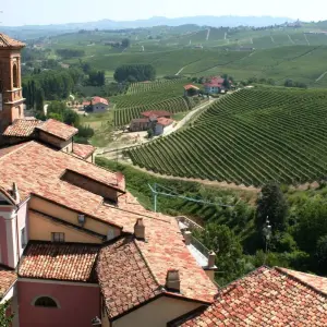 Explore Gastronomic Barolo Walk for 9 days with Exodus Adventure Travels and discover unforgettable experiences - Photo 7