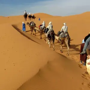 Explore Highlights of Morocco for 15 days with Exodus Adventure Travels and discover unforgettable experiences - Photo 2