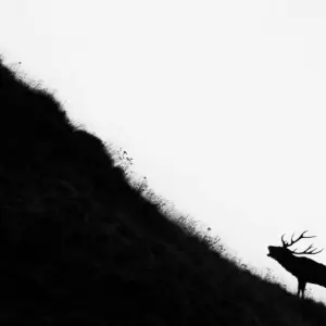 Explore Italian Apennines: Walks &amp; Wildlife for 6 days with Exodus Adventure Travels and discover unforgettable experiences - Photo 11