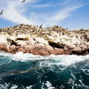 Explore Essential Peru for 15 days with Exodus Adventure Travels and discover unforgettable experiences - Photo 5