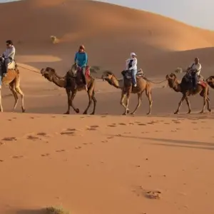 Explore Highlights of Morocco for 15 days with Exodus Adventure Travels and discover unforgettable experiences - Photo 6