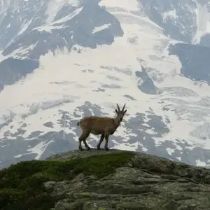 Explore Tour du Mont Blanc Camping Trek for 15 days with Exodus Adventure Travels and discover unforgettable experiences - Photo 4