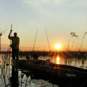 Explore Botswana & Zimbabwe Lodge Safari for 14 days with Exodus Adventure Travels and discover unforgettable experiences - Photo 2