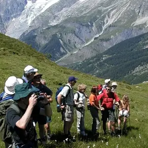 Explore Tour du Mont Blanc Hotel Trek for 15 days with Exodus Adventure Travels and discover unforgettable experiences - Photo 6