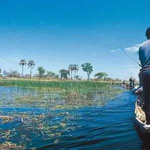 Explore Wildlife & Wilderness of Botswana for 14 days with Exodus Adventure Travels and discover unforgettable experiences - Photo 4