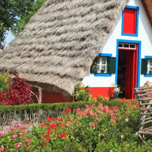 Explore Marvels of Madeira Walk for 8 days with Exodus Adventure Travels and discover unforgettable experiences - Photo 3