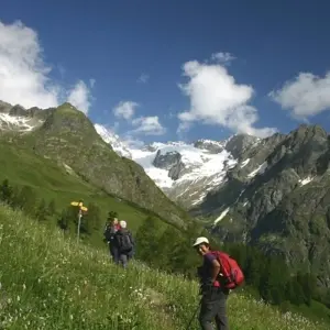 Explore Tour du Mont Blanc Camping Trek for 15 days with Exodus Adventure Travels and discover unforgettable experiences - Photo 11