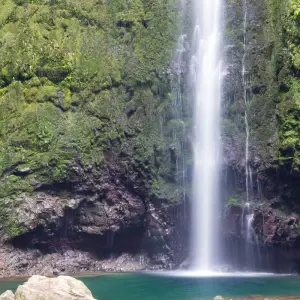 Explore Marvels of Madeira Walk for 8 days with Exodus Adventure Travels and discover unforgettable experiences - Photo 4