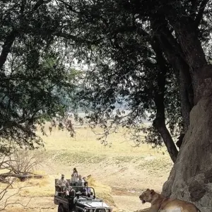 Explore Wildlife & Wilderness of Botswana for 14 days with Exodus Adventure Travels and discover unforgettable experiences - Photo 8