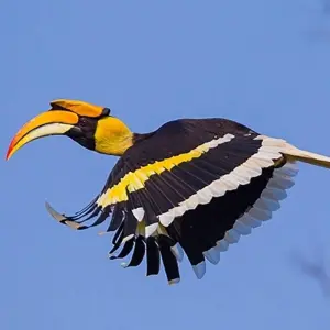 Explore Borneo & the Malaysian Peninsula for 14 days with Exodus Adventure Travels and discover unforgettable experiences - Photo 9