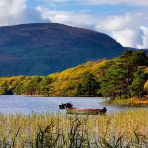 Explore Walking the Kerry Way and Killarney National Park for 8 days with Exodus Adventure Travels and discover unforgettable experiences - Photo 5