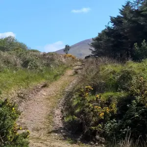 Explore Walking the Kerry Way and Killarney National Park for 8 days with Exodus Adventure Travels and discover unforgettable experiences - Photo 8