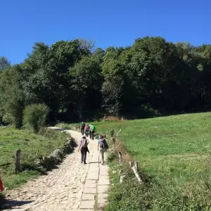 Explore Cycling the Camino de Santiago for 9 days with Exodus Adventure Travels and discover unforgettable experiences - Photo 3