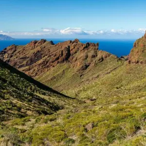 Explore Contrasts of Tenerife Walk for 8 days with Exodus Adventure Travels and discover unforgettable experiences - Photo 4