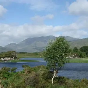 Explore Walking and Cycling the Wild Atlantic Way for 8 days with Exodus Adventure Travels and discover unforgettable experiences - Photo 5