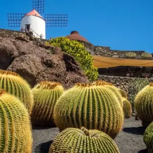 Explore Contrasts of Lanzarote for 8 days with Exodus Adventure Travels and discover unforgettable experiences - Photo 4