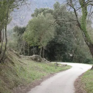 Explore Cycling Girona and the Catalan Coast for 7 days with Exodus Adventure Travels and discover unforgettable experiences - Photo 3