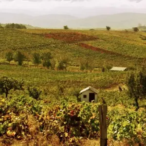 Explore Cycling the Camino de Santiago for 9 days with Exodus Adventure Travels and discover unforgettable experiences - Photo 9