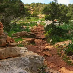 Explore Contrasts of Cyprus Walking for 8 days with Exodus Adventure Travels and discover unforgettable experiences - Photo 7