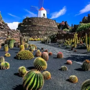 Explore Contrasts of Lanzarote for 8 days with Exodus Adventure Travels and discover unforgettable experiences - Photo 7