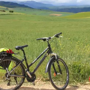 Explore Cycling the Camino de Santiago for 9 days with Exodus Adventure Travels and discover unforgettable experiences - Photo 11