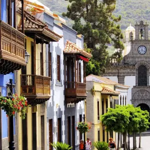 Explore Contrasts of Gran Canaria for 8 days with Exodus Adventure Travels and discover unforgettable experiences - Photo 8