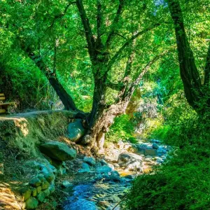 Explore Contrasts of Cyprus Walking for 8 days with Exodus Adventure Travels and discover unforgettable experiences - Photo 9