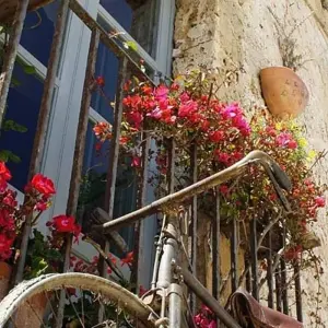 Explore Cycling in Sicily for 8 days with Exodus Adventure Travels and discover unforgettable experiences - Photo 6